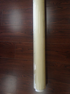 �����ܽ�����Ĥ-����Ĥ